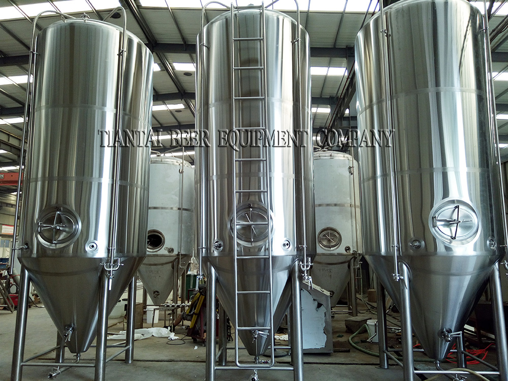 <b>100HL Beer fermenter with ladder</b>